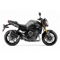 FZ8