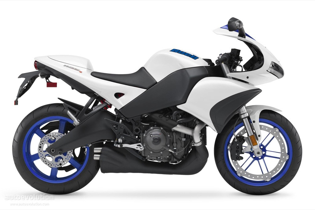 Pit Bull - Buell - 1125R / 1125CR