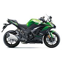 Pit Bull - Kawasaki Ninja 1100 ('25)