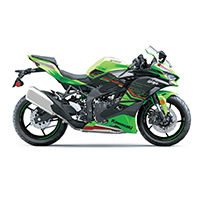 Pit Bull - Kawasaki ZX4-RR ('23)