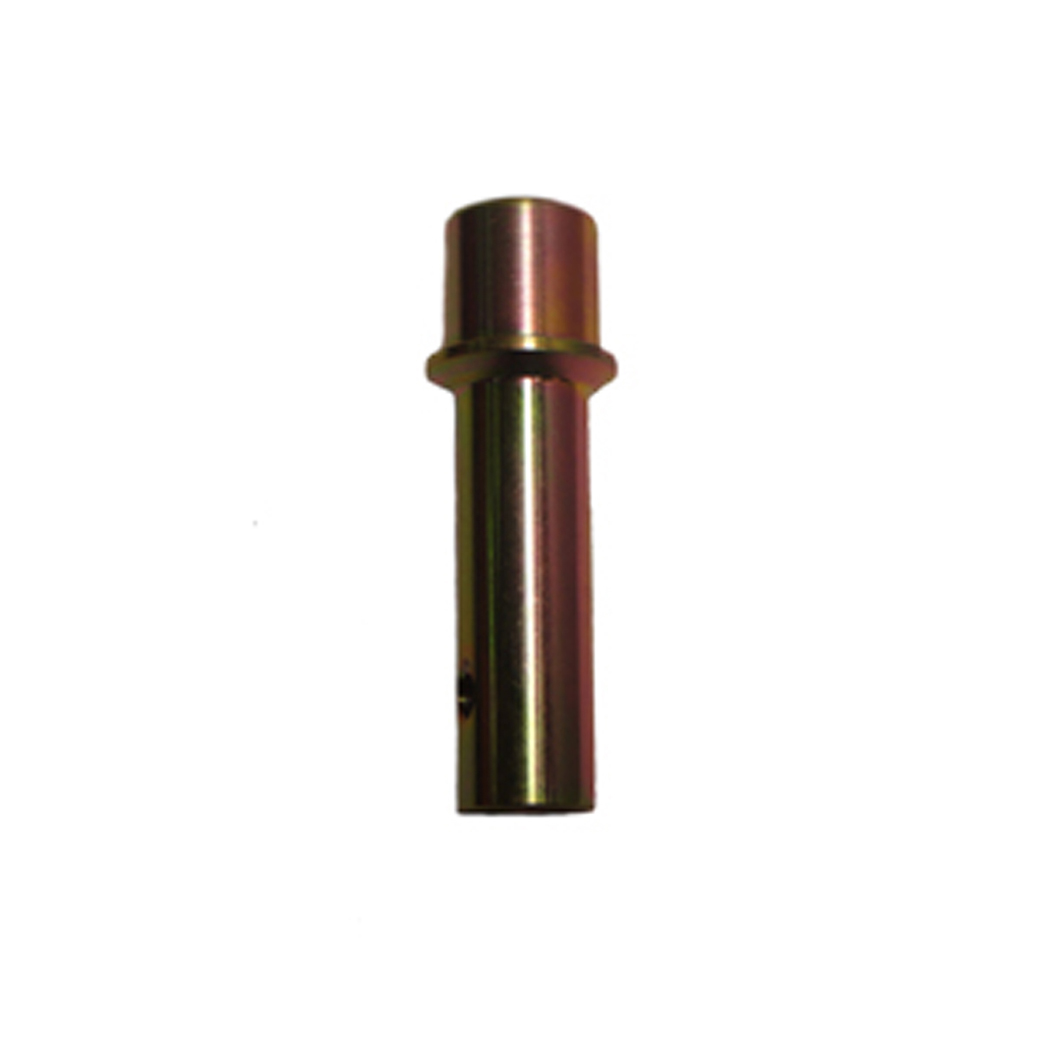 Pit Bull - Pin #18, Front [F0001-018]